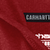 Force Relaxed Fit Midweight Long-Sleeve Logo Graphic Hooded T-Shirt - R99-Crabapple | Carhartt 106654