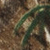 FR LIGHTWEIGHT CAMO BANDANA AND HEAD TIE - CM-Camo | Bulwark HLB8