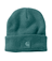 Tonal Patch Beanie - GO3-Transformative Teal | Carhartt 101070