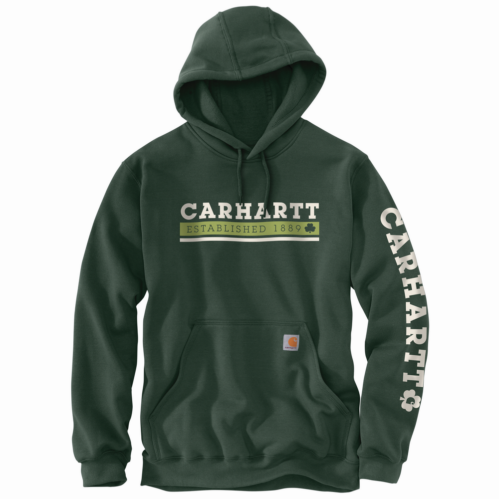 Loose Fit Midweight Hooded Shamrock Graphic Sweatshirt | Carhartt