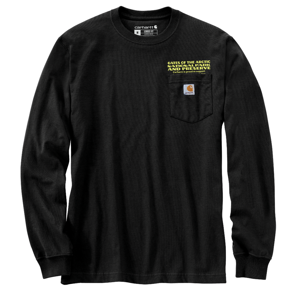 Loose Fit Heavyweight Long-Sleeve Gates of the Arctic National