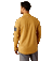 FR COMBAT STRETCH 1/4 ZIP LONG-SLEEVE WORK SHIRT - 200-Bistro | Ariat 10055075