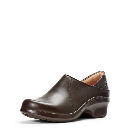 Ariat 2024 clog shoes