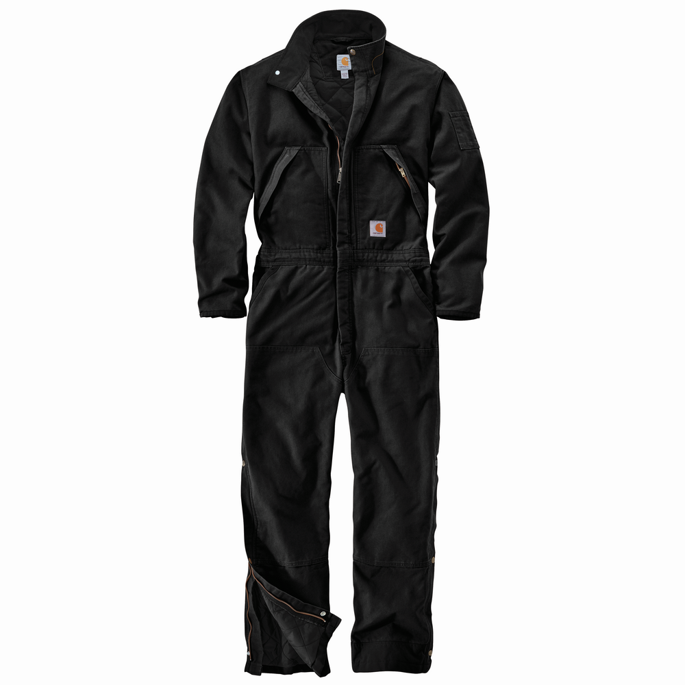Men's Washed Duck Insulated Coverall | Carhartt 104396